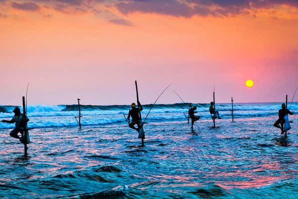 New Scientist Default Image