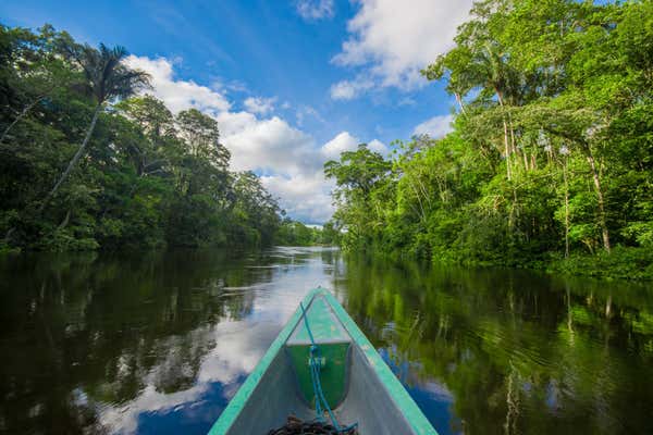 Travelling by boat into the depth of Amazon Jungles in Cuyabeno National Park, Ecuado