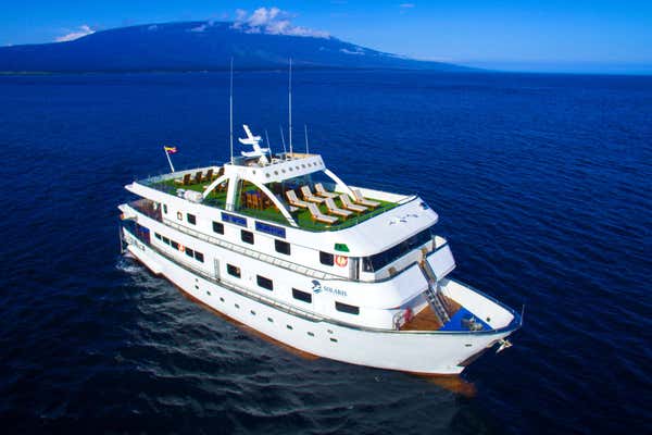 New Scientist Default Image