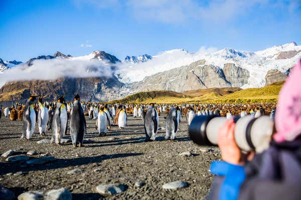 New Scientist Default Image