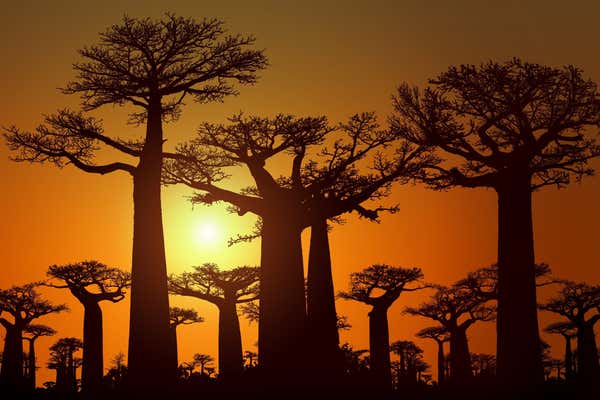 New Scientist Default Image