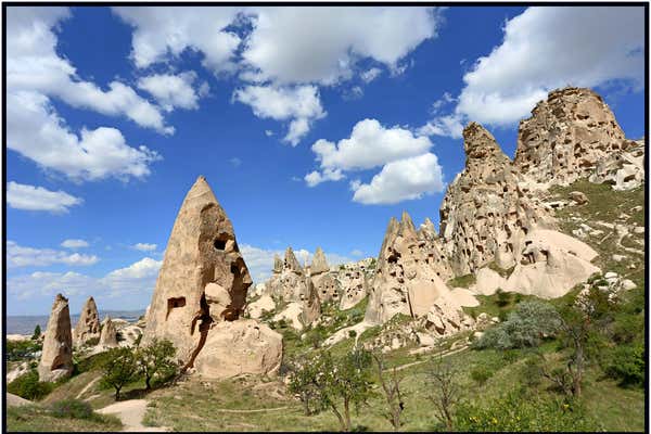 New Scientist Default Image