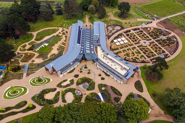 New Scientist Default Image