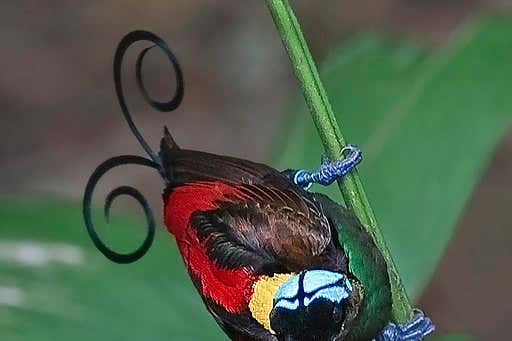 New Scientist Default Image