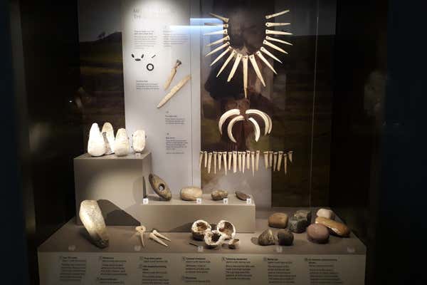 New Scientist Default Image