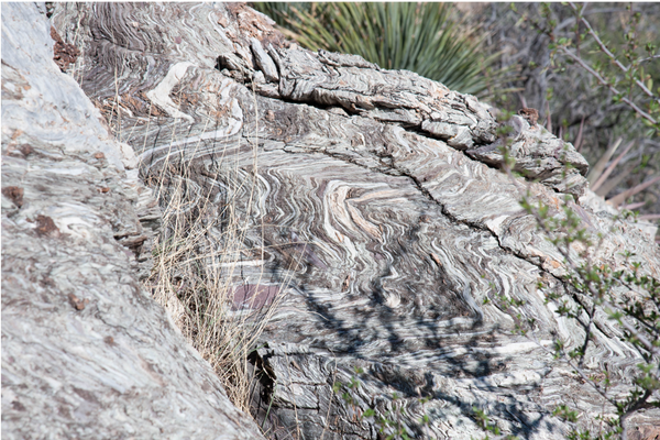 Fossilized rocks located in the Torpedo ridge, located in Arizona USA, visited on geology tour.