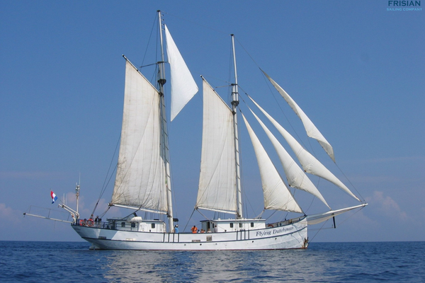 New Scientist Default Image